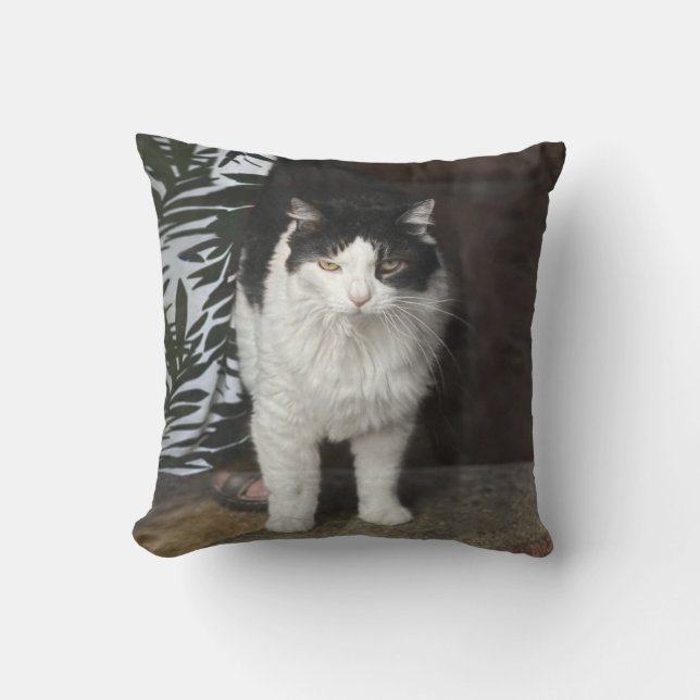 Coussin Kitty (Recto)