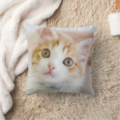 Coussin Kitty observé par bleu doux (Couverture)