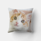 Coussin Kitty observé par bleu doux (Verso)