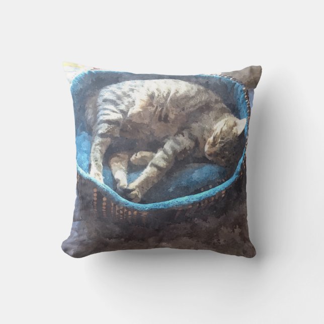 Coussin Kitty prend une sieste, Tabby Tiger Chat Dormir (Recto)