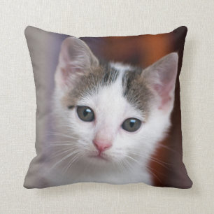 Coussin Kitty repéré par blanc