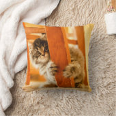 Coussin Kitty sous la chaise (Couverture)