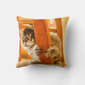 Coussin Kitty sous la chaise (Verso)