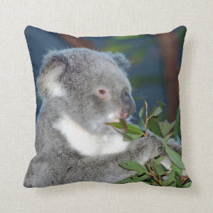 Coussin Koala affamé