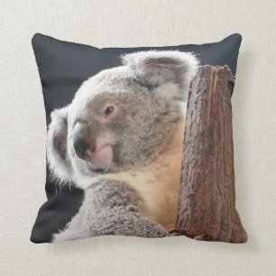Coussin Koala australien