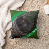 Coussin Koala dormant dans un arbre Australie (Couverture)