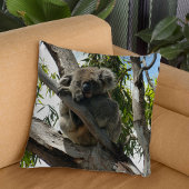 Coussin Koala - Dormir