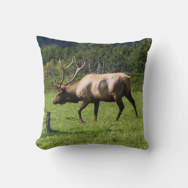 Coussin Kodiak, Alaska Elk extérieur Photo Conçu Fancy (Recto)