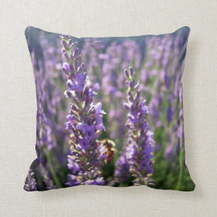 Coussin Kussen Lavendel