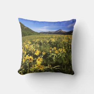 Coussin La balsamite à feuilles sagittées couvre la prairi