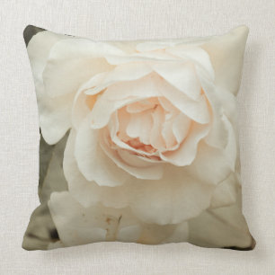 Coussin La crème avec un contact de rose, romantique s'es