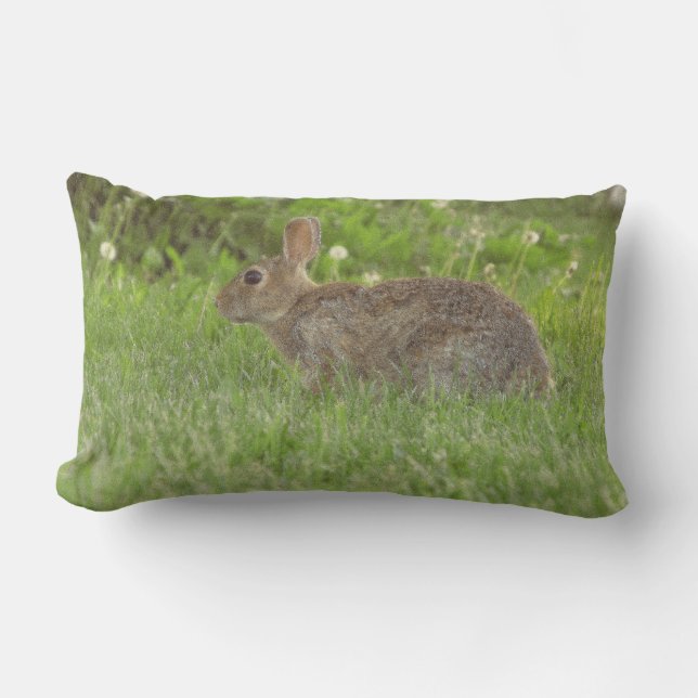 Coussin : La douceur de vie (Recto)