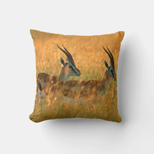 Coussin La gazelle de Thomson (Gazella Thomsonii) à l'aube