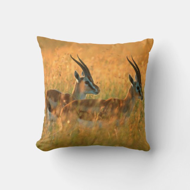 Coussin La gazelle de Thomson (Gazella Thomsonii) à l'aube (Recto)