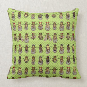 Coussin La génétique de mouche à fruit de drosophile -