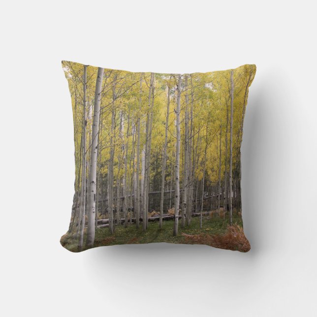 Coussin La lueur jaune d'Aspen (Recto)