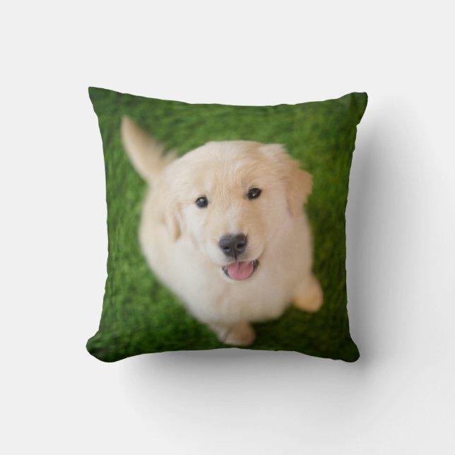 Coussin La marionnette d'or sur l'herbe (Recto)