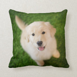 Coussin La marionnette d'or sur l'herbe