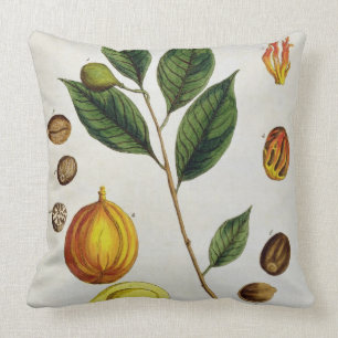 Coussin La noix de muscade, plaquent 353 "d'un de fines