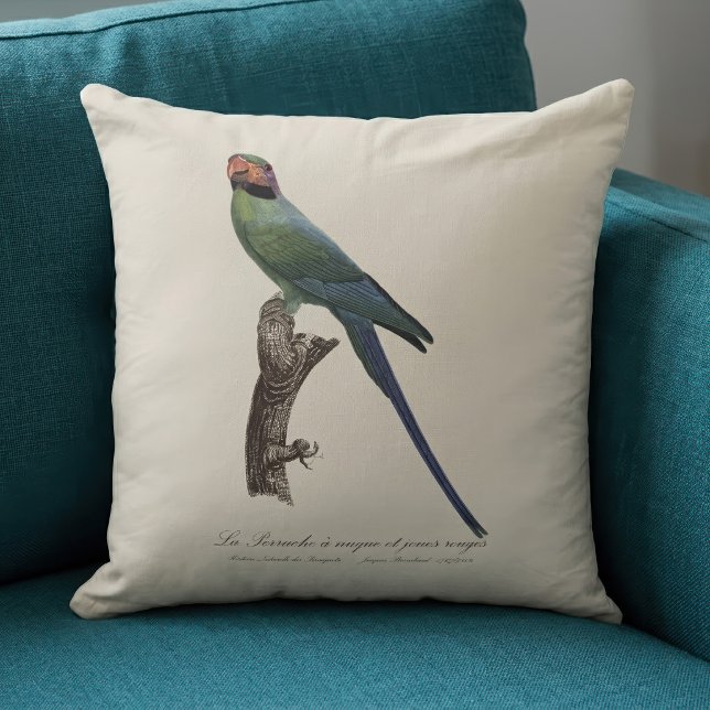 Coussin La Perruche à nuque et joues rouges  (Long-Tailed Parakeet, Psittacula Longicauda. Throw Pillow)