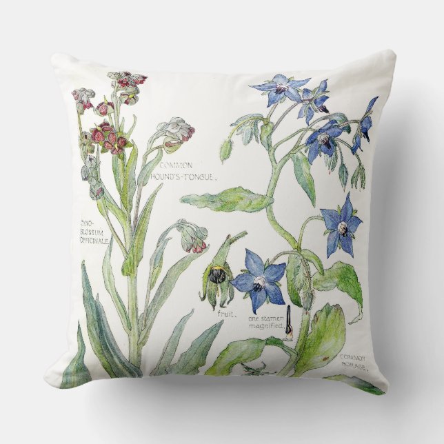 Coussin La primevère botanique de bourrache fleurit le (Recto)
