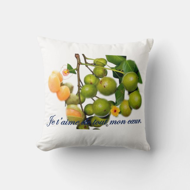Coussin La quenette  (Recto)
