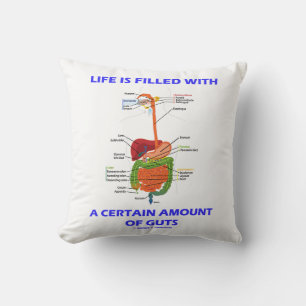 Coussin La Vie Est Remplie D'Une Certaine Quantité De Tach