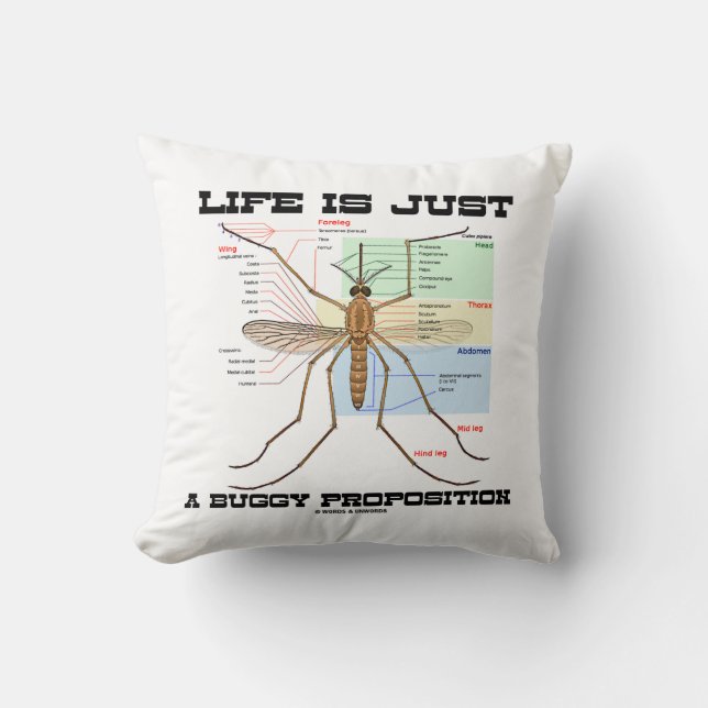 Coussin La Vie N'Est Qu'Une Proposition Buggy (Humour Mous (Recto)
