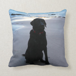 Coussin Labrador noir sur une plage