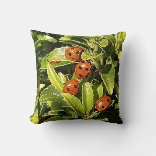 Coussin Ladybirds sur le Feuille (Recto)