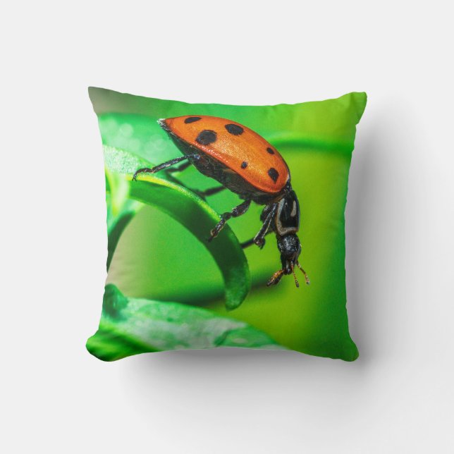 Coussin Ladybug Macro Throw Pillow Nature-Inspired Decor (Recto)