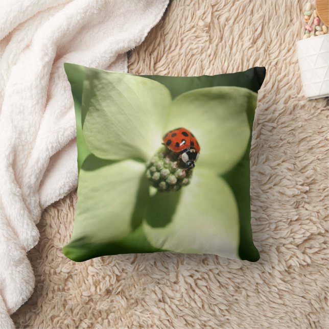 Coussin Ladybug On White Dogwood Flower  (Couverture)