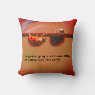 Coussin Ladybugs Attitude Inspiration Confucius Citation