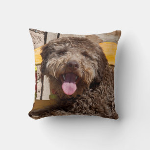 Coussin Lagotto Romagnolo allongé sur un banc en bois