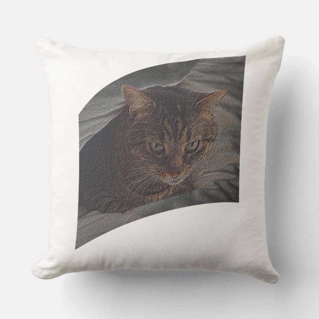 Coussin Laisse reposer le chat (Recto)