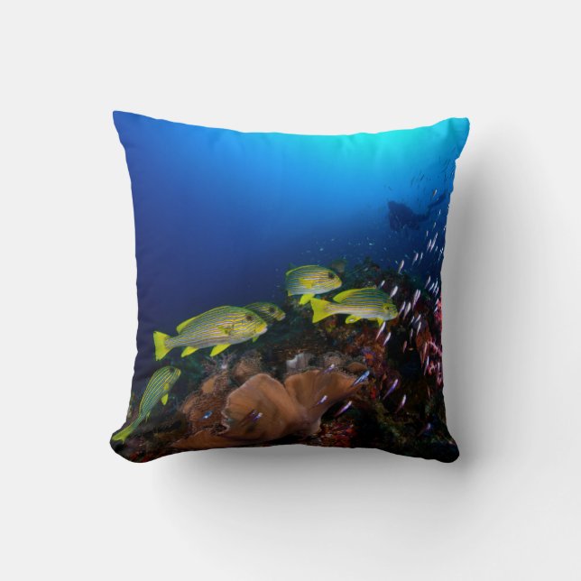 Coussin Laja Ampat 3 sous-marins (Recto)