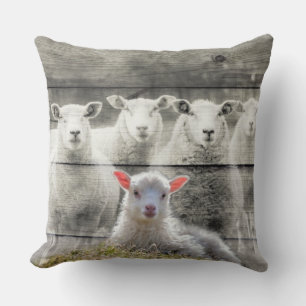 Coussin Lamb Lumbar