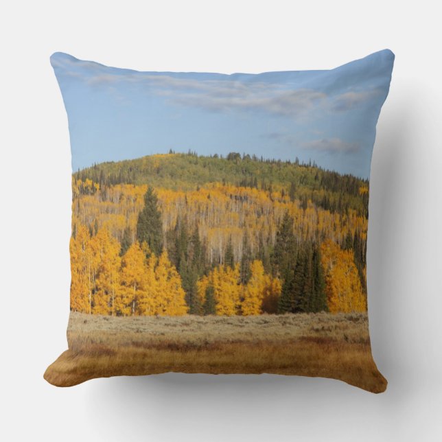 Coussin Lambert Hollow, trembles (Recto)