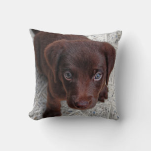Coussin L'amour des chiots