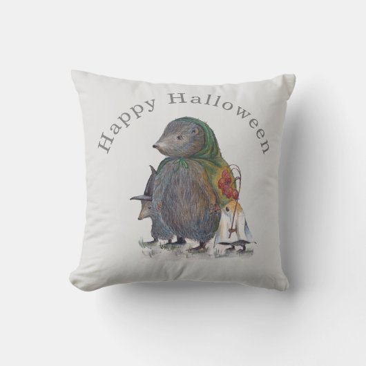 Coussin Lancer l'oreiller (Recto)