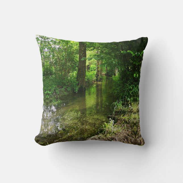 Coussin lancer l'oreiller (Recto)