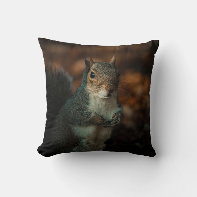 Coussin Lancer l'oreiller (Recto)