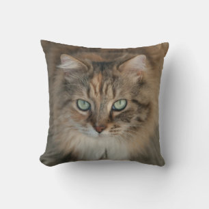 Coussin lancer l'oreiller avec un beau chat aux yeux verts
