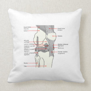 Coussin Lancer l'oreiller Diagramme anatomique genou droit