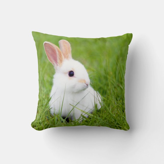 Coussin Lapin blanc (Recto)