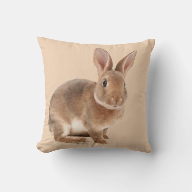 Coussin Lapin de Rex (Recto)