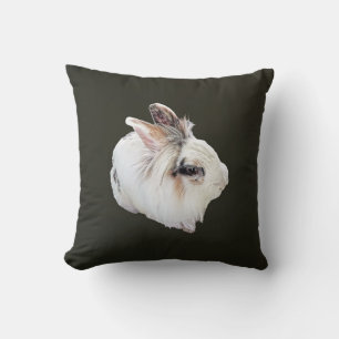 Coussin Lapin Lionhead tricolore