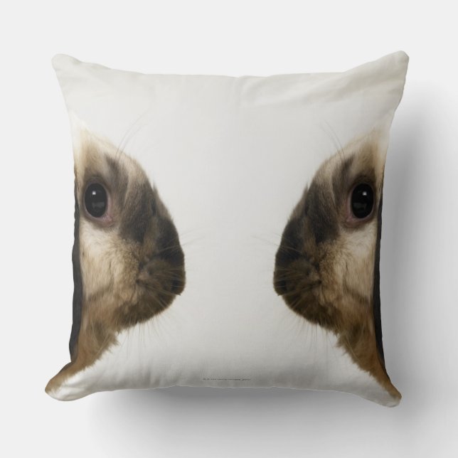 Coussin Lapin regardant le lapin (Recto)