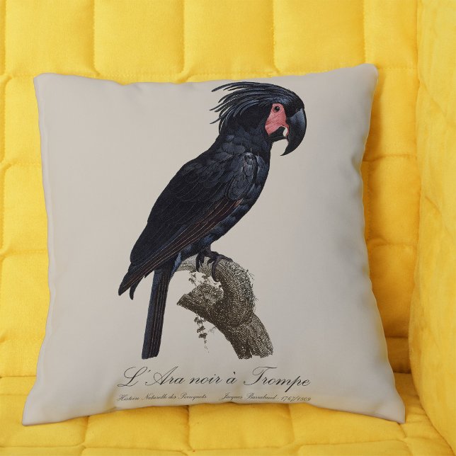 Coussin L'Ara Noir a Trompe / Palm Cockatoo (L' Ara Noir a Trompe / Palm Cockatoo. Throw Pillow)