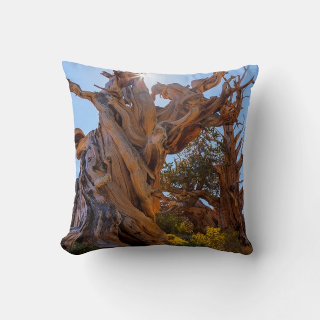 Coussin L'arbre sentinelle (Recto)